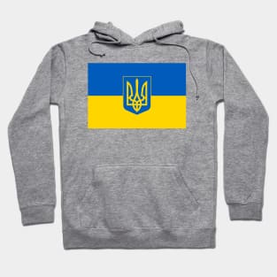 Flag of Ukraine with Coat of Arms Hoodie